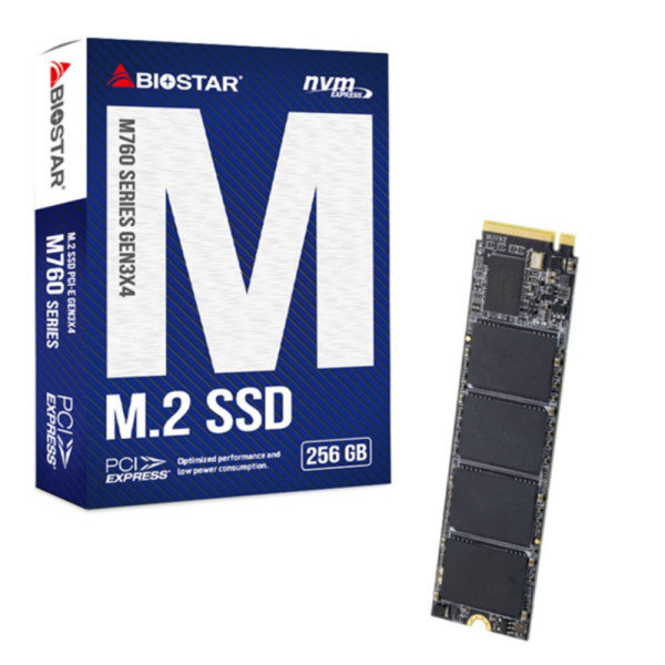 SSD M.2 NVMe Biostar M760 256GB, M760-256GB