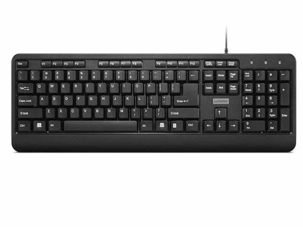 Tastatura LENOVO 160 žična/GY41L68463/US/crna
