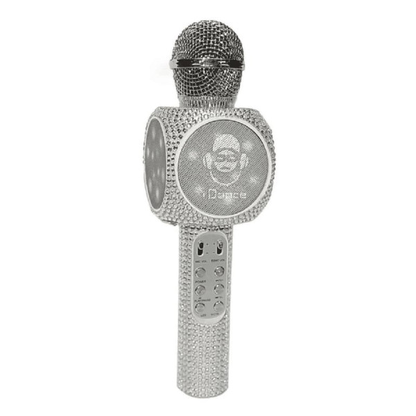 iDance Microphone PM31L(SL)