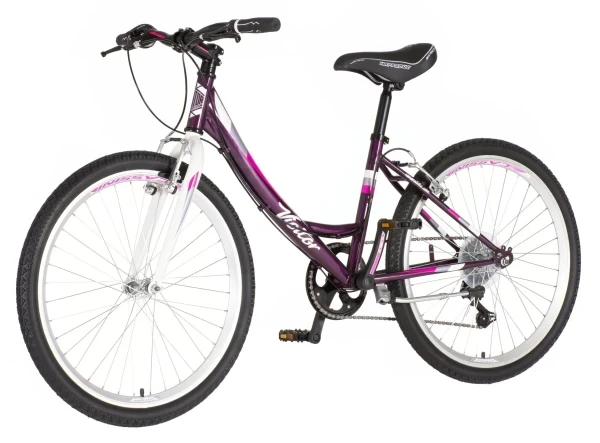 Bicikla Visitor Junior Fox 24/19 V-BRAKE/6 brzina/ljubičasta