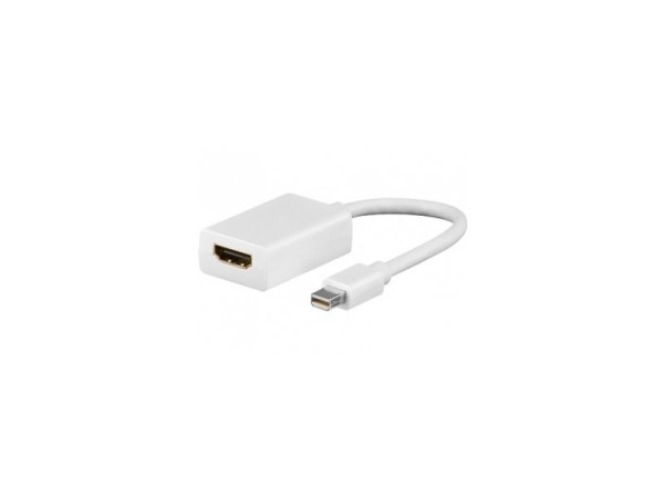 Adapter Fast Asia mini Display port - HDMI MF