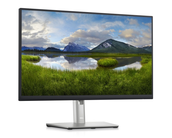 DELL OEM 23.8 inch P2422H Professional IPS monitor 