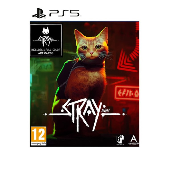 PS5 Stray